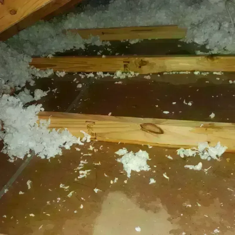 Attic Water Damage in Black Point-Green Point, CA